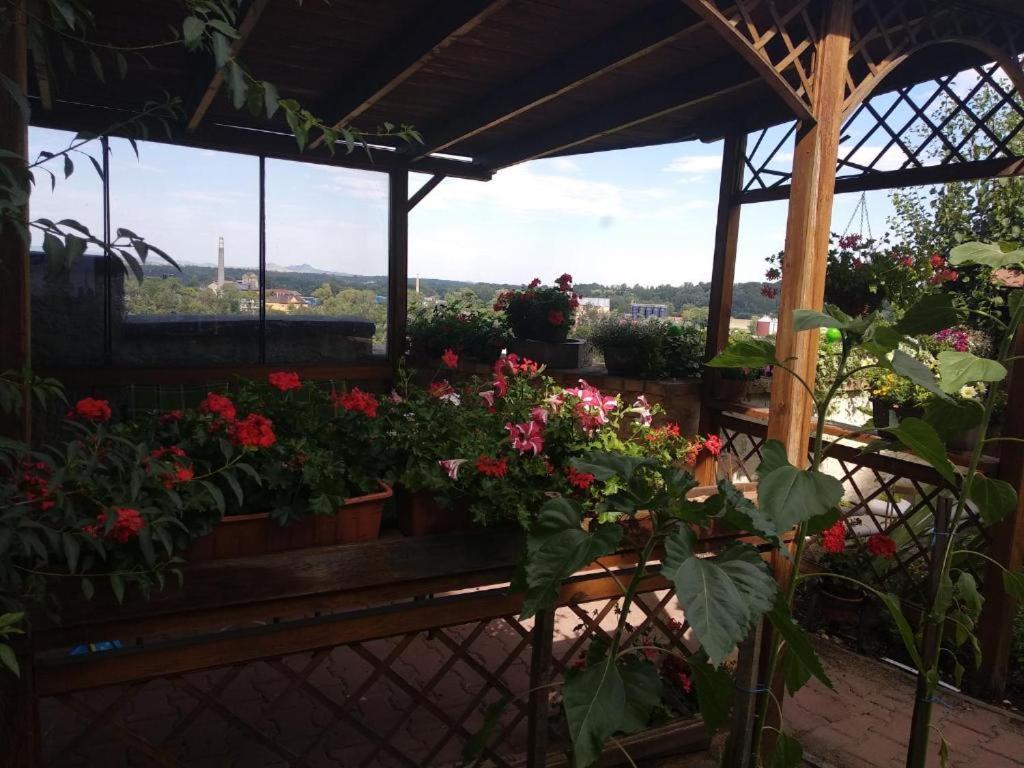 Apartmany Zatec Exterior foto